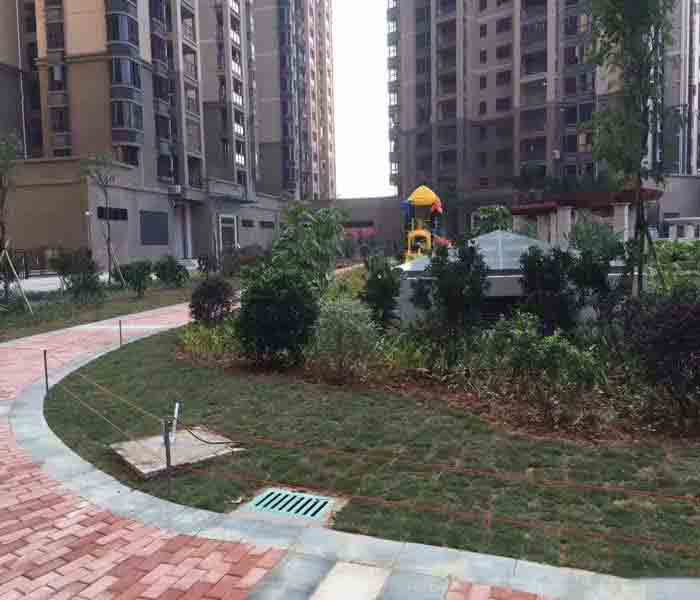 石巖村委統(tǒng)建樓:羊臺山一號