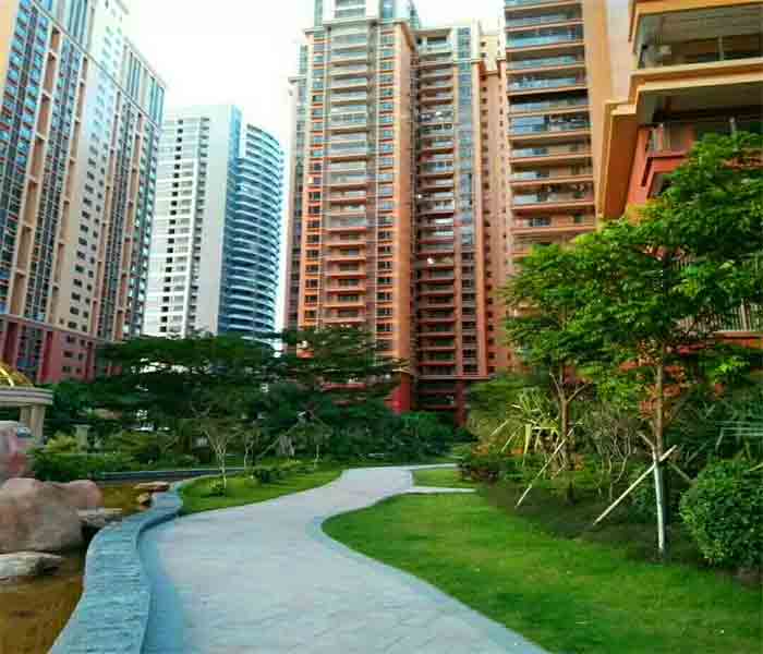 沙井大型村委統(tǒng)建樓:天水豪庭