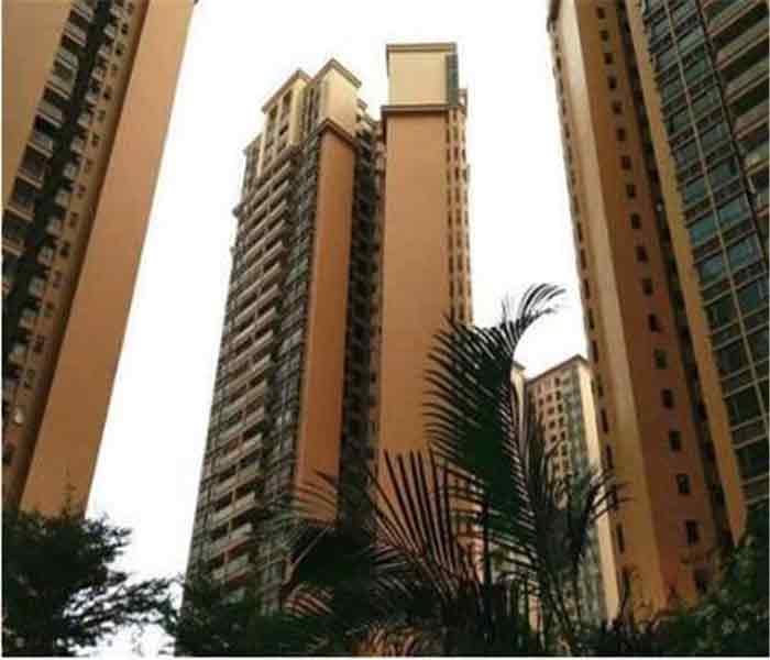 沙井大型村委統(tǒng)建樓:天水豪庭