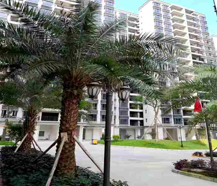 惠州小產(chǎn)權房-盛世麗都