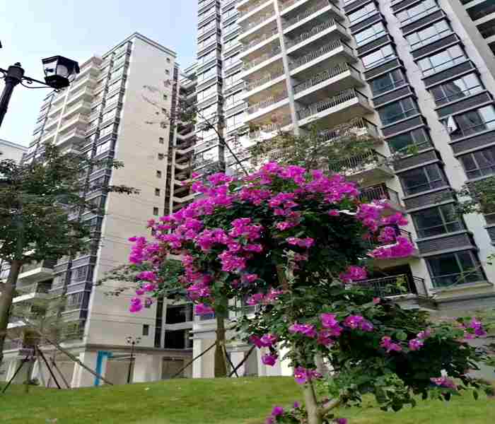 惠州小產(chǎn)權房-盛世麗都