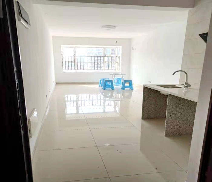 南山西麗村委小產權房