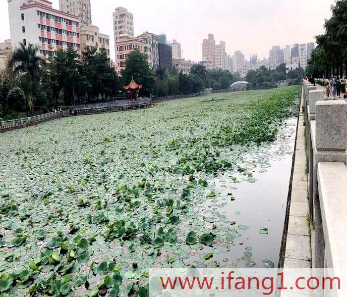 長安小產(chǎn)權(quán)房