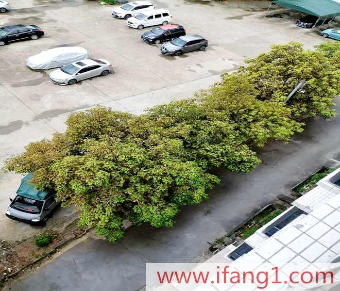 石排小產權房價格