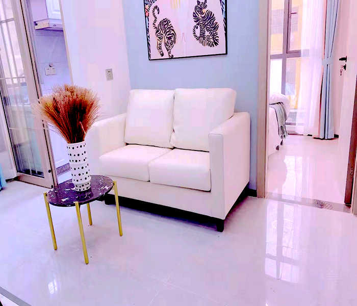 民治沙元埔小產(chǎn)權(quán)房出售-民治金典,離5號線民治地鐵站200米