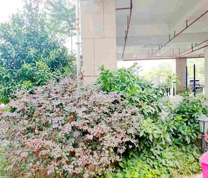 龍華最新小產權房:石巖國際3棟花園小區房